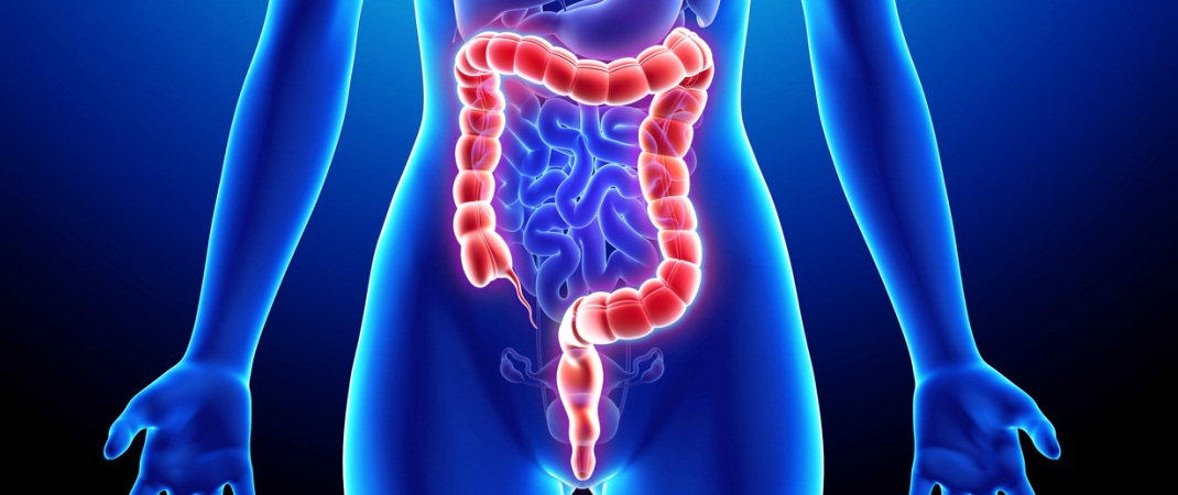 colon_retto_f_1070x450